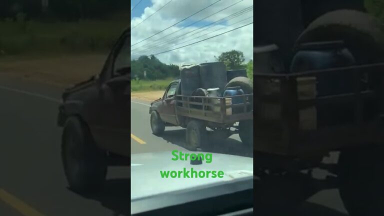 Absolutely nothing wrong with this Toyota truck. Absolutely nothing wrong with this Toyota truck.