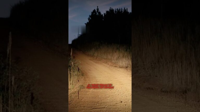 Endless Roads & Empty Fields | Midwest Trucker Horror Story । late night horror