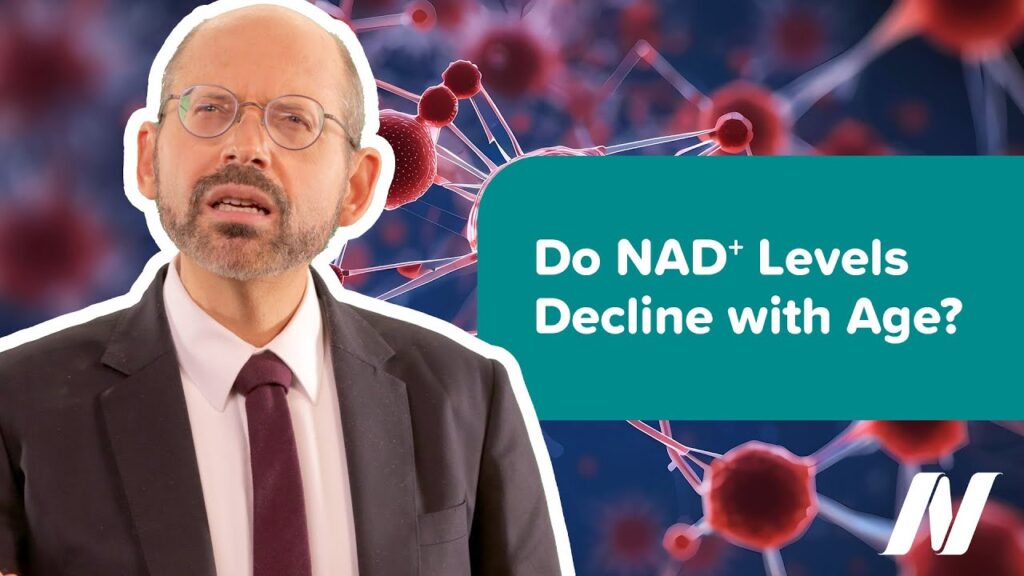 Do NAD+ Levels Decline with Age?