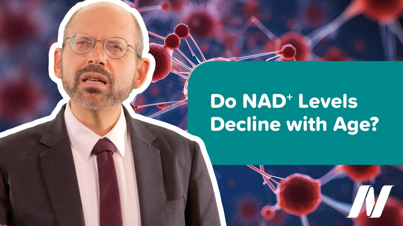 Do NAD+ Levels Decline with Age?