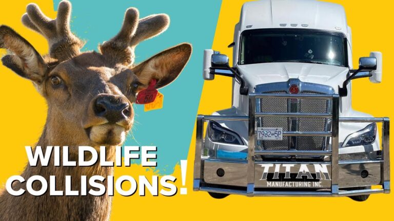 Why Every Long-Haul Trucker Needs Moose Bumpers! ( TITAN MFG )