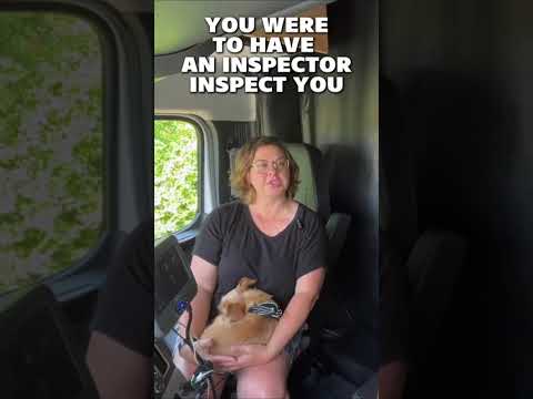 Why Your Truck Must Pass Every DOT Inspection